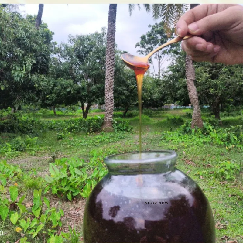 Honey 500 gm (Black cumin flowers)